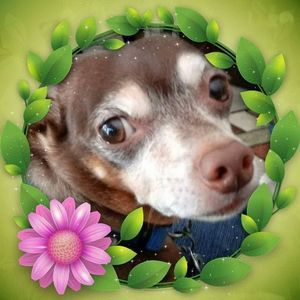 Meet your Posher, Sue